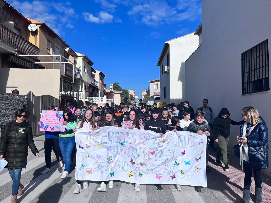 Marcha día de la discapacidad